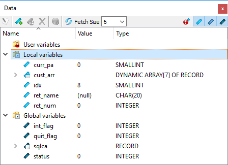 This figure is a screenshot of the Debugger Data View.